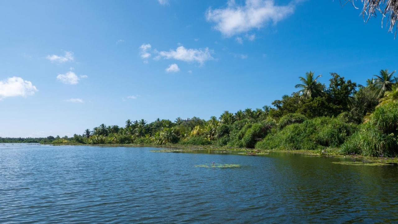 Isle Royal Inn Fuvahmulah Kültér fotó