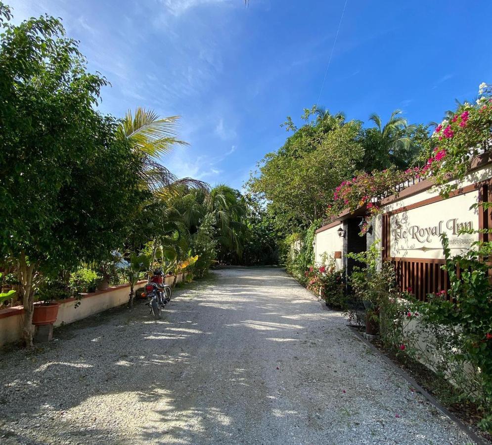 Isle Royal Inn Fuvahmulah Kültér fotó